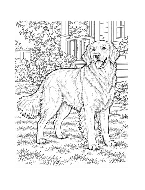 Wild life wonders 100 page animal coloring book