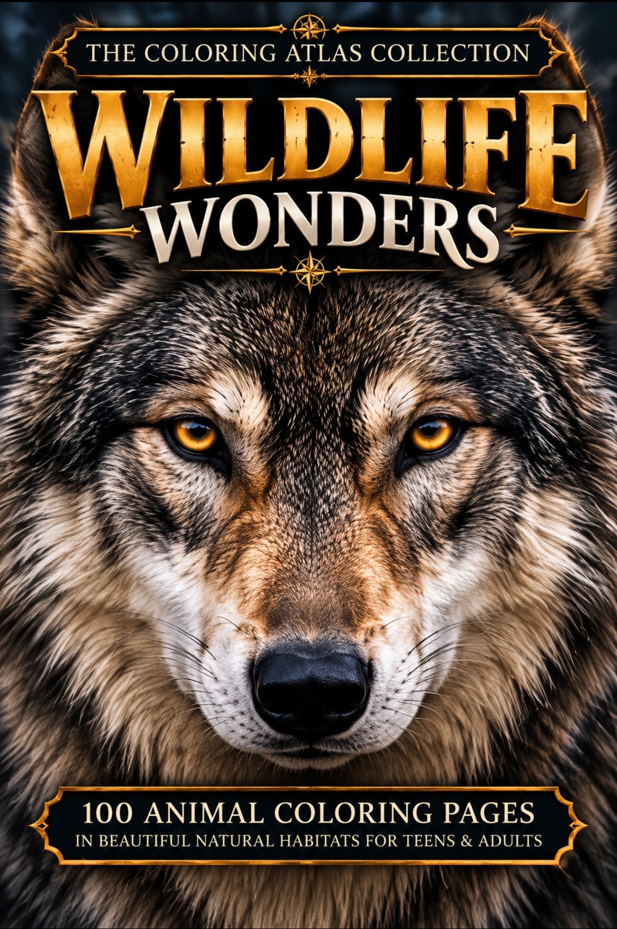 Wild life wonders 100 page animal coloring book